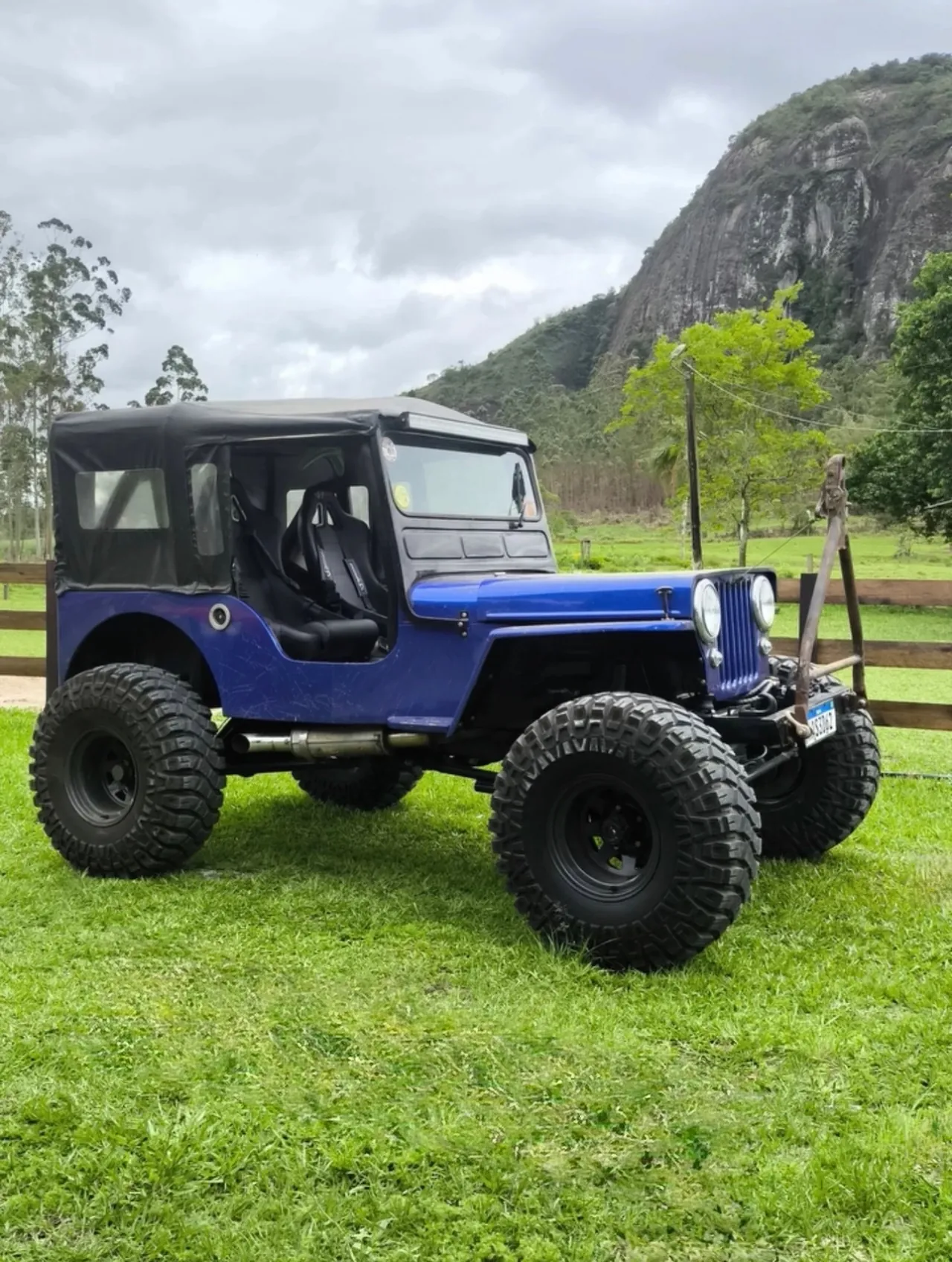 Jeep Willys azul em um gramado